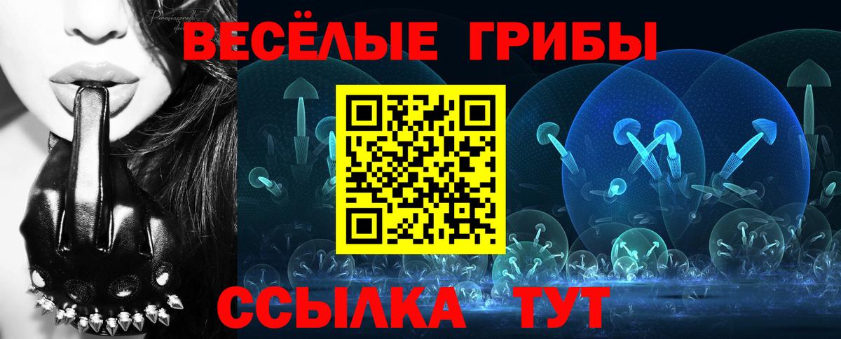 Псилоцибиновые грибы ЛСД Сальск